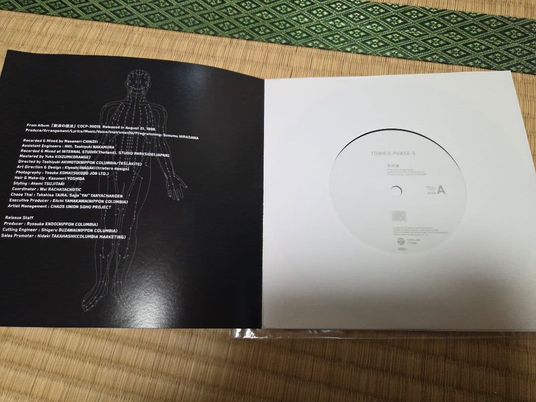 平沢進 TOWN-O PHASE-5 / 庭師KING