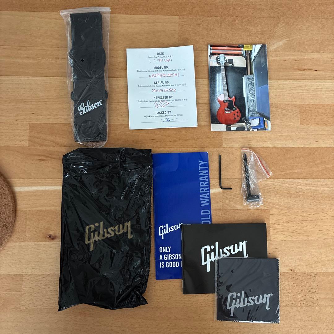 【ボンクレー】 3.2kg Gibson LP Special P90