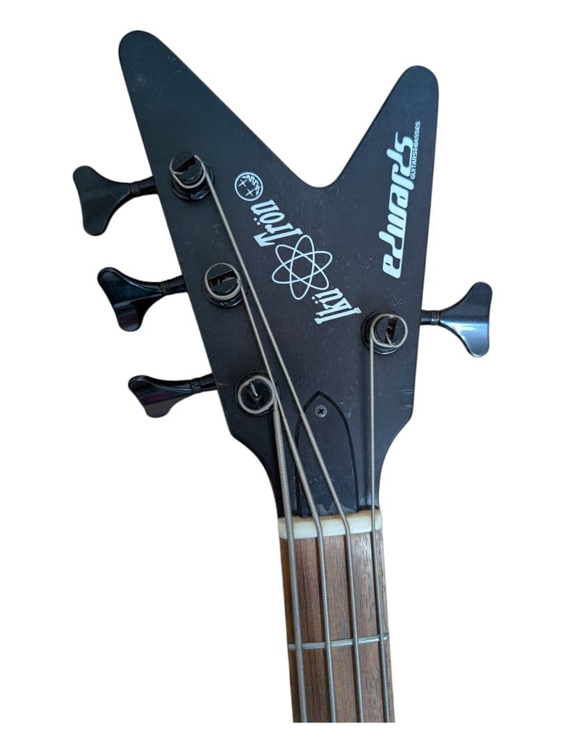 【超希少】EDWARDS E-RM-BLAIKUTRON Dragon Ash