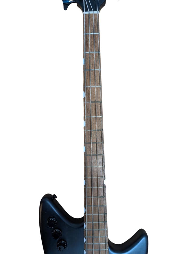 【超希少】EDWARDS E-RM-BLAIKUTRON Dragon Ash