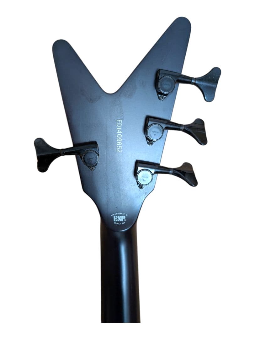 【超希少】EDWARDS E-RM-BLAIKUTRON Dragon Ash