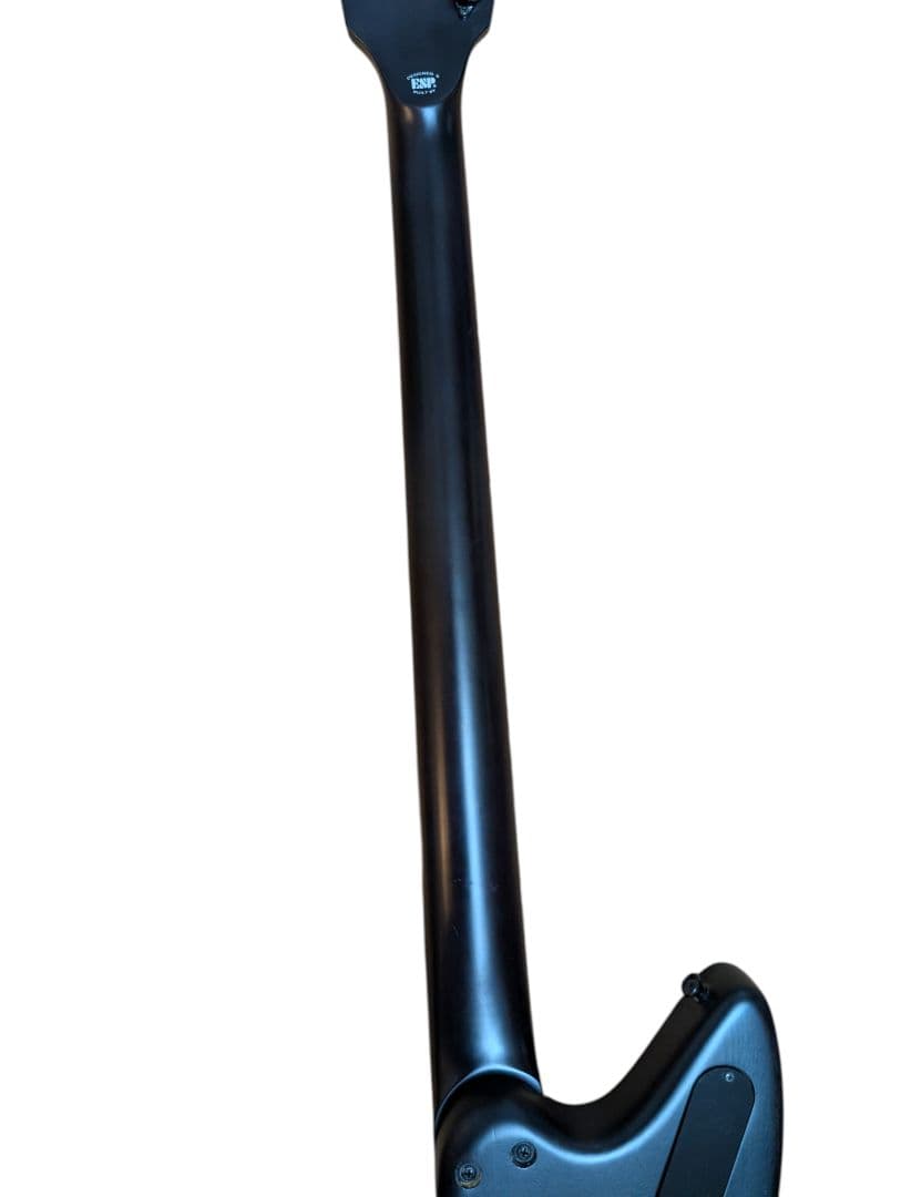 【超希少】EDWARDS E-RM-BLAIKUTRON Dragon Ash