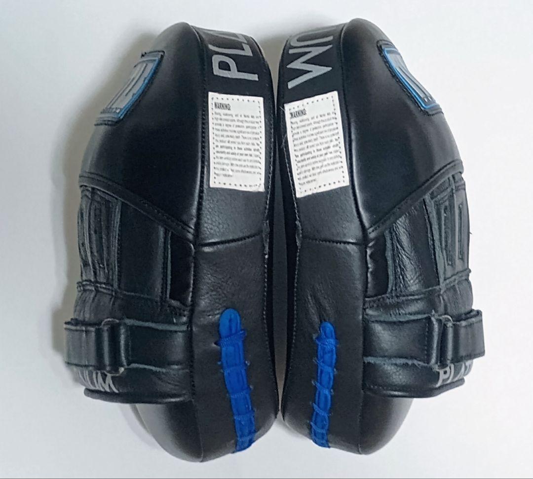 TITLE（タイトル） PLATINUM 　　　　 　パンチミット２.０