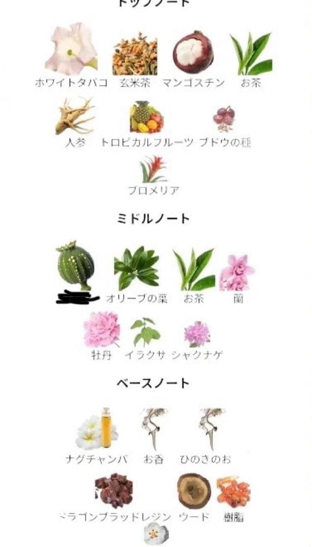 【超希少】Toskovat7種類香水サンプル