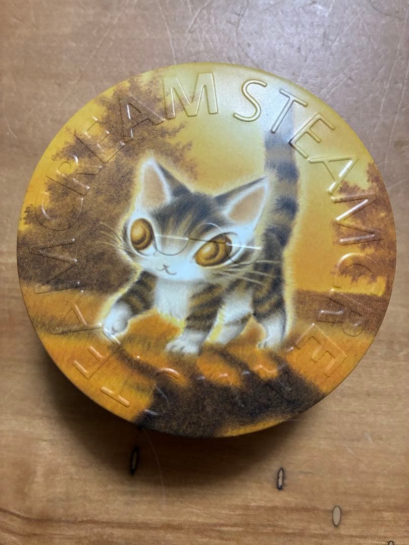 スチームクリーム まとめ売り　4個+ミニサイズ　未開封