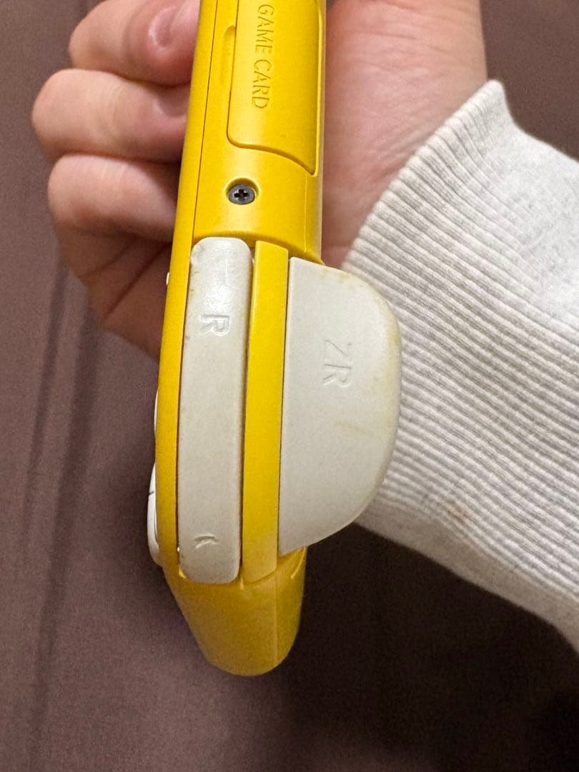 switch LITE 本体　箱　充電器付き