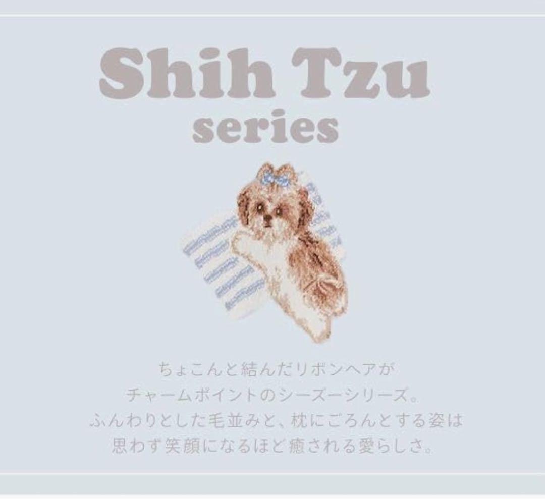 【新品未使用】ジェラートピケ　シーズーロングTシャツ&ショートパンツ　上下セット