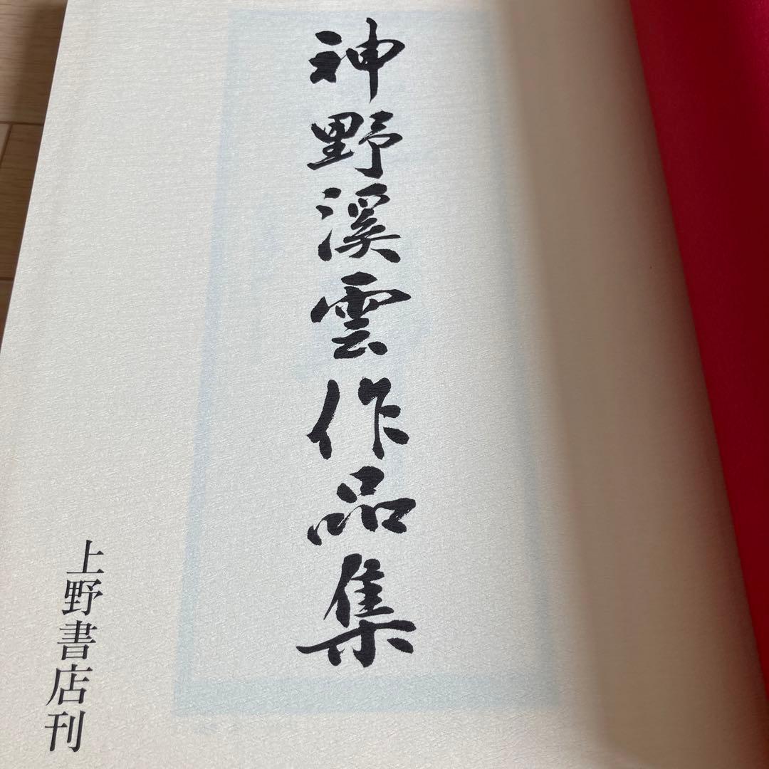 書道本　神野渓雲作品集