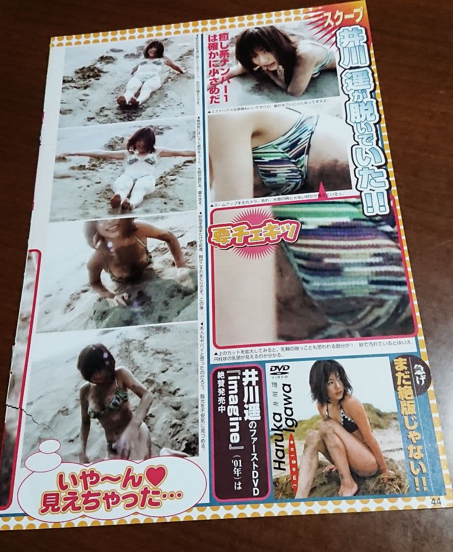 井川遥 切り抜き 約30枚 グラビア