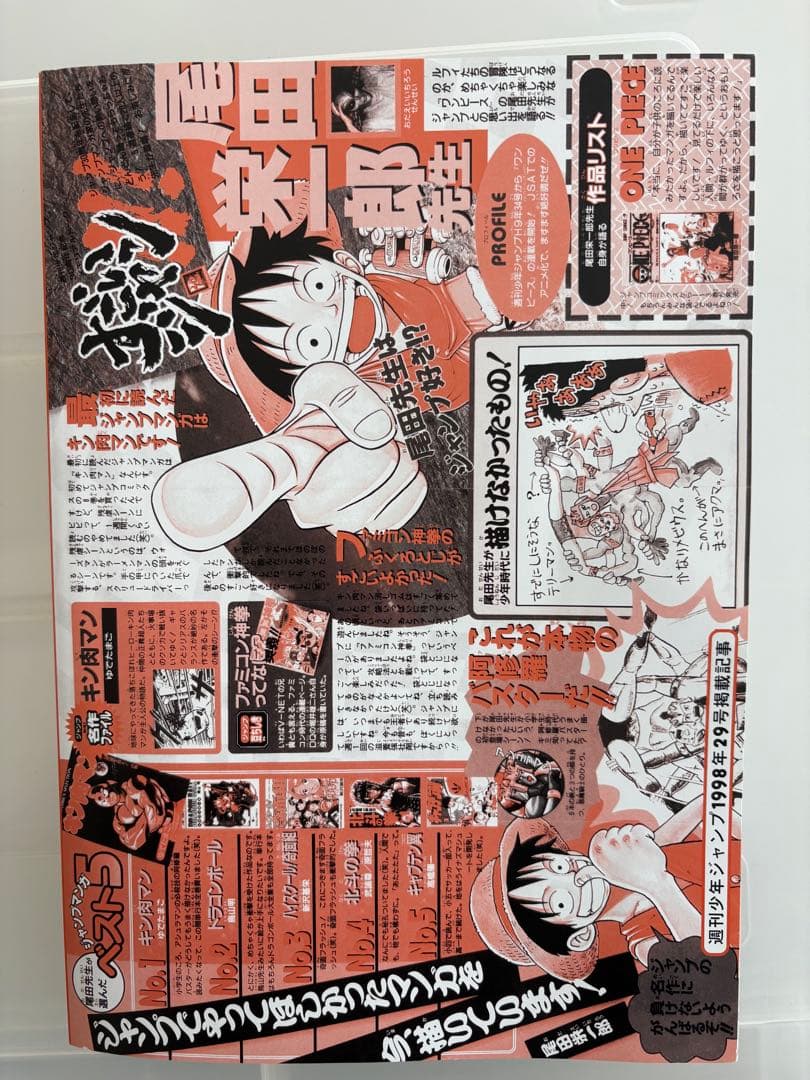 ワンピースマガジン20号　プロモ付き