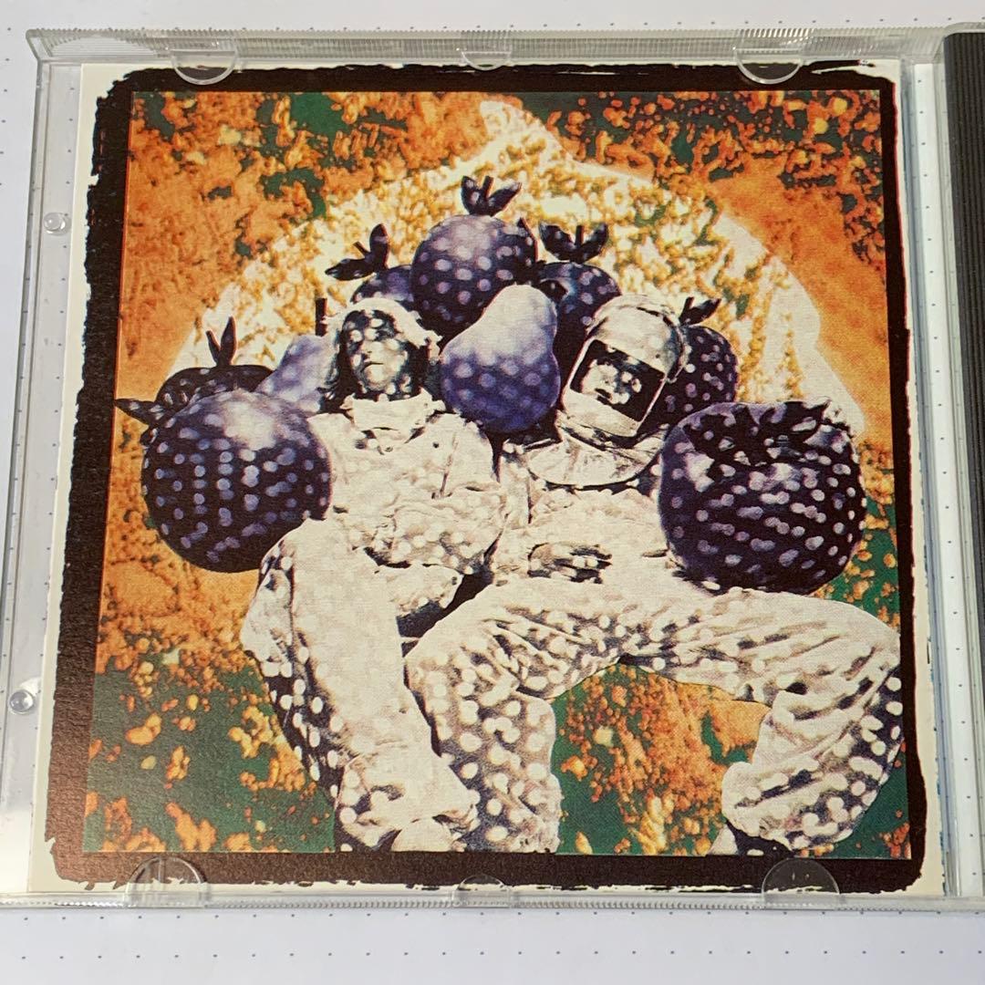 洋楽 The Orb Ultra Rare Trax