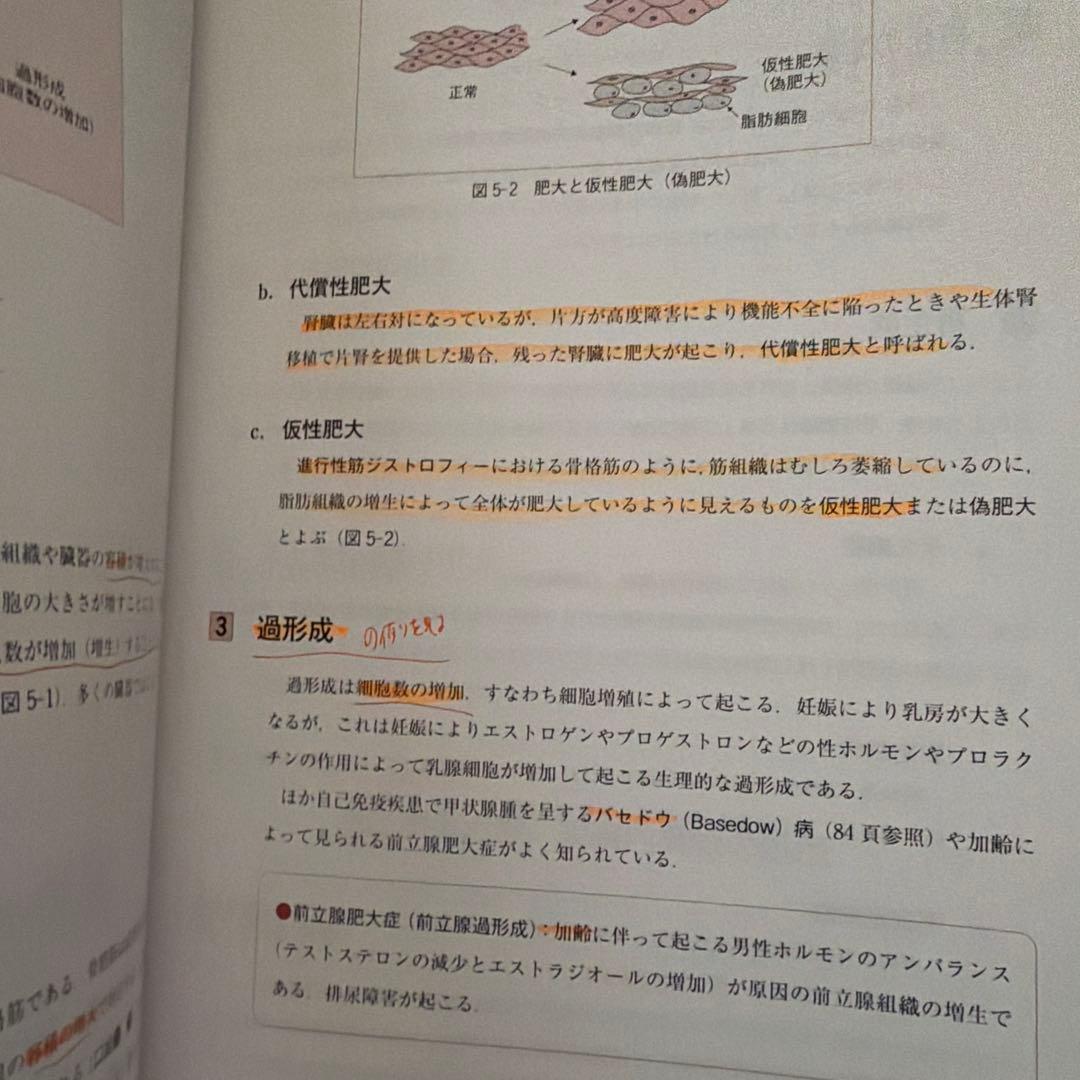 関係法規、リハビリ、医療、病理、施術の適応と医用画像の理解、医療概論