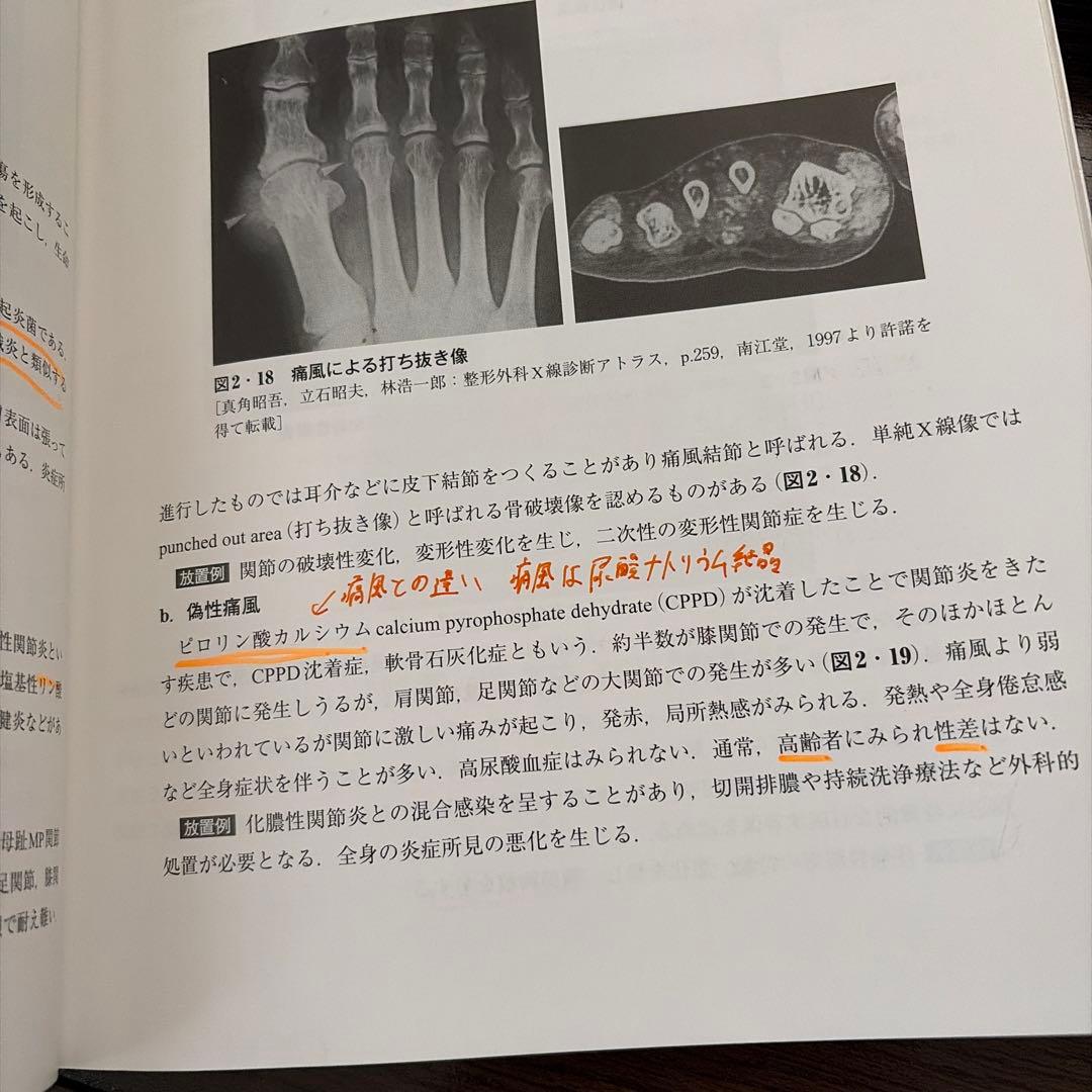 関係法規、リハビリ、医療、病理、施術の適応と医用画像の理解、医療概論