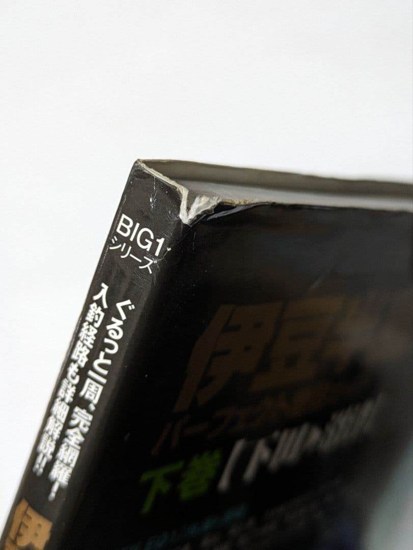 伊豆半島パーフェクト地磯ガイド : ぐるっと一周、完全網羅!入釣経路も詳細解説…