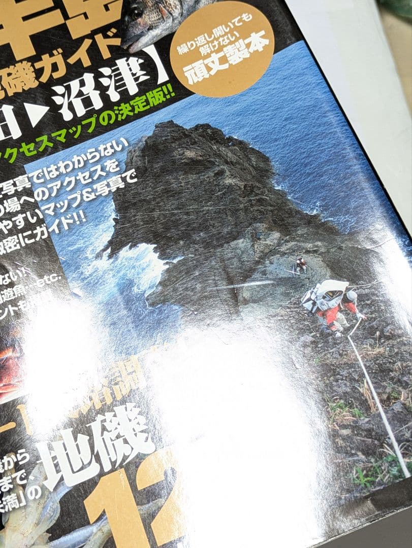 伊豆半島パーフェクト地磯ガイド : ぐるっと一周、完全網羅!入釣経路も詳細解説…