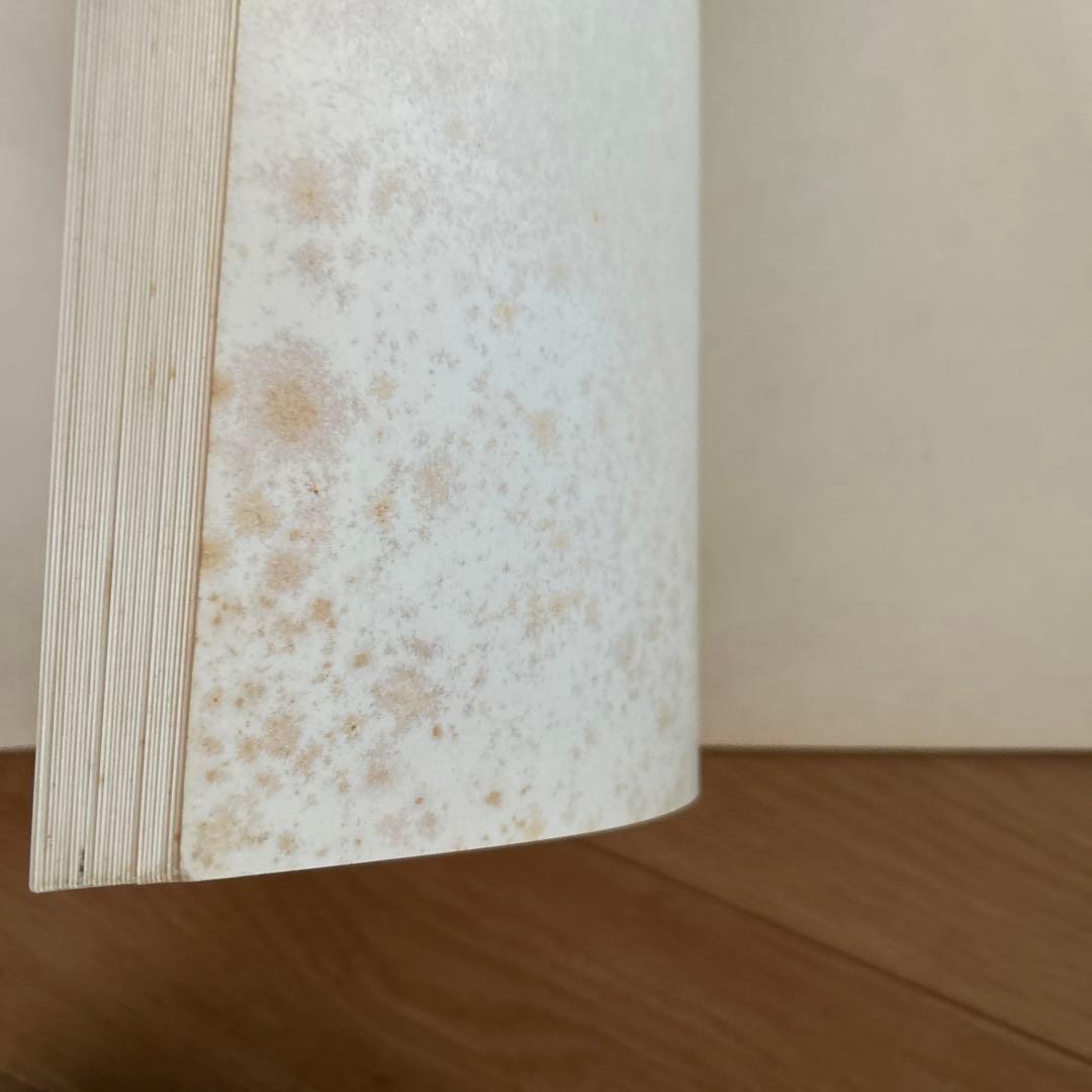 ロドニー・マシューズ ポートフォリオ　イラスト集