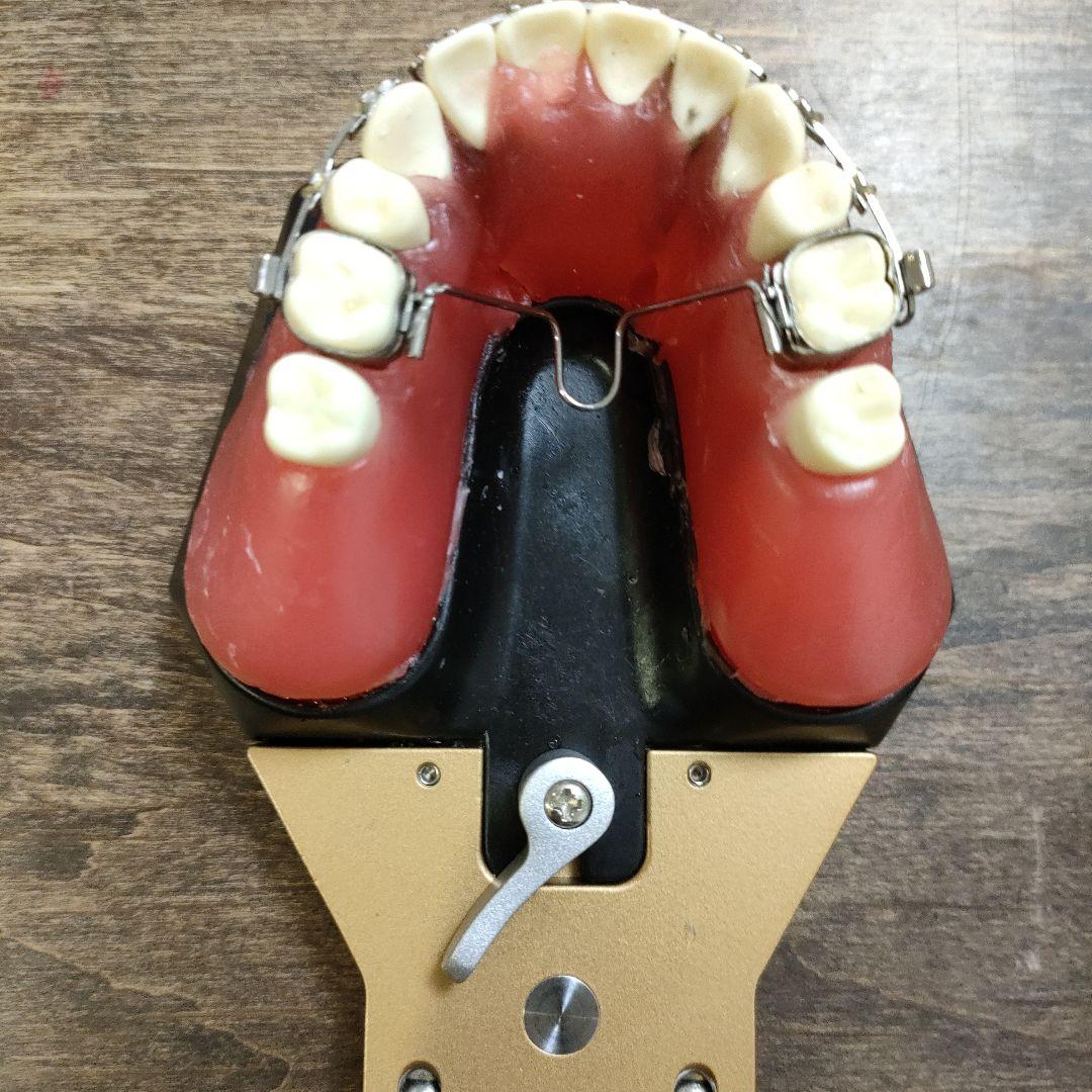 YDM製タイポドント咬合器