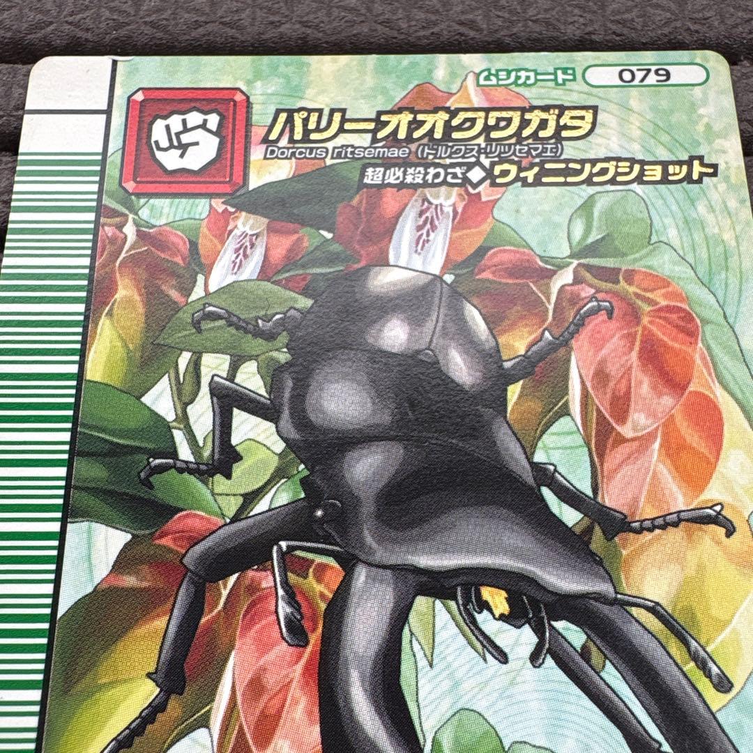 希少 ムシキング パリーオオクワガタ ウィニングショット 5周年コレクション