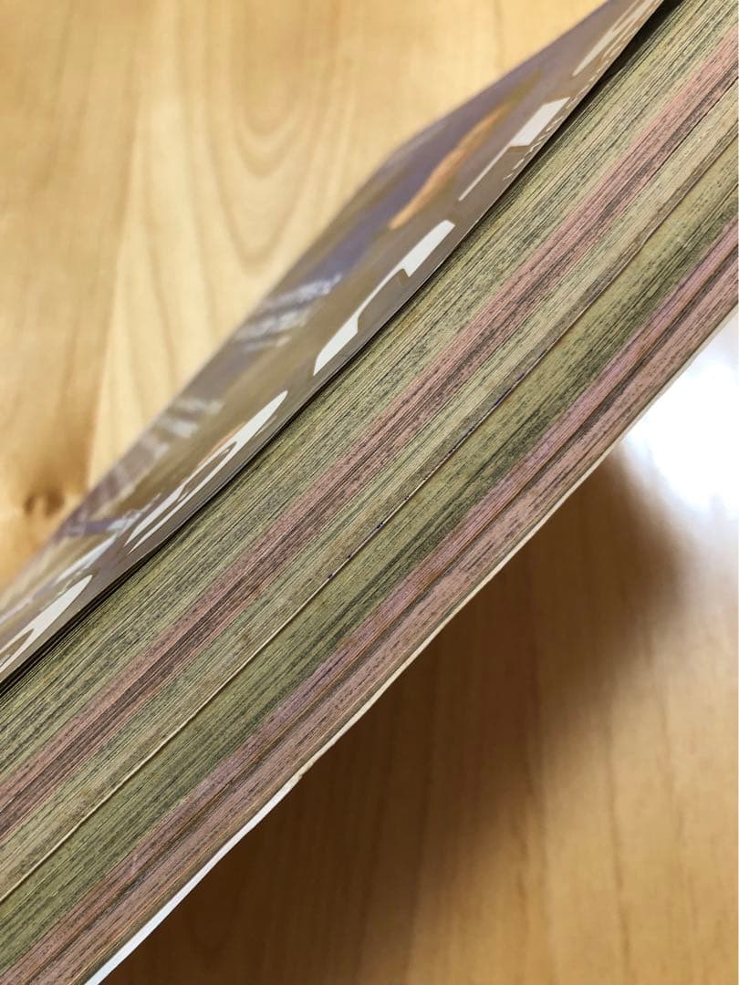 【週刊少年ジャンプ】1999年5月24日号　No.24 集英社