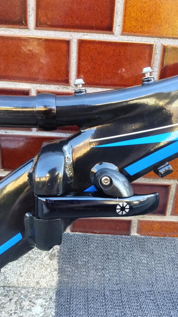 8日迄ご商談中　DAHON ダホン　viscフレーム セット