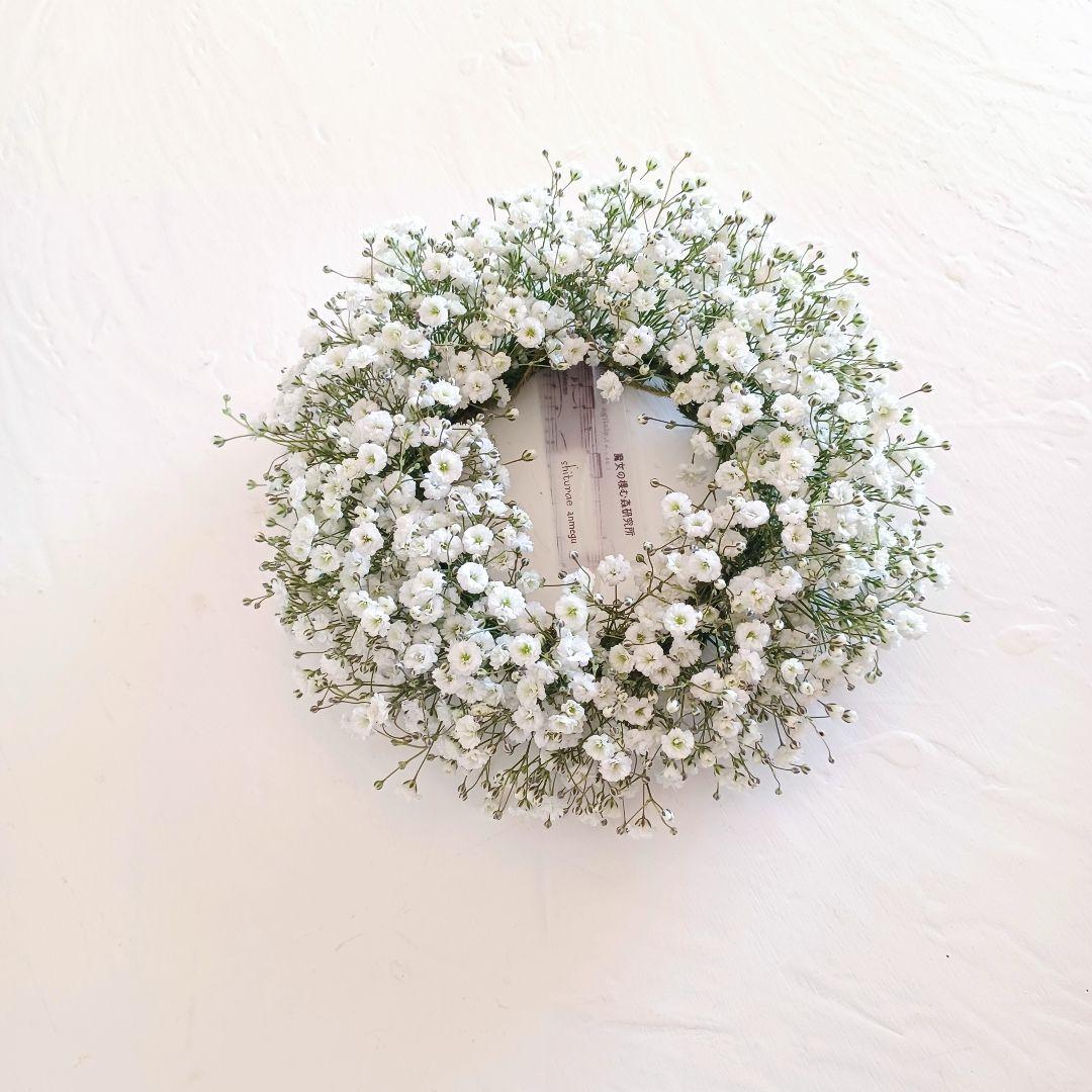 ・*.punchan‪‪‪.*¨̮・様【order】ドライフラワー リース