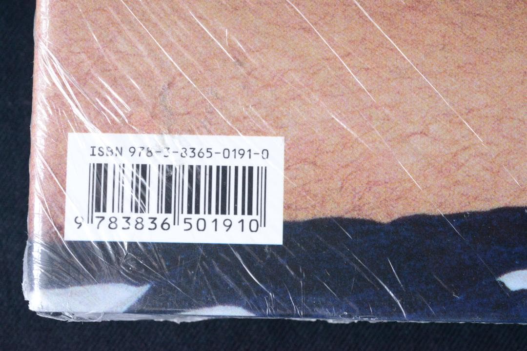 【Terry Richardson: Terryworld】★新品・未開封・美本