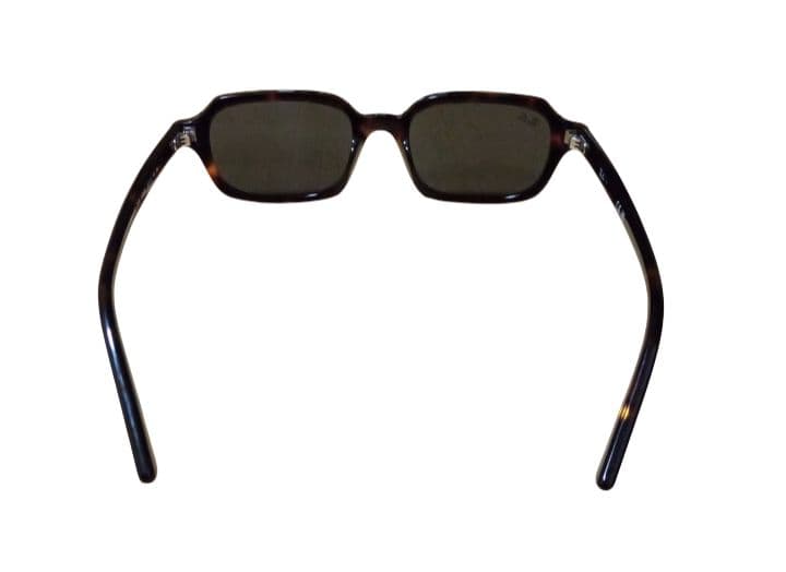 【美品】RayBan サングラス：モデルRB4455F